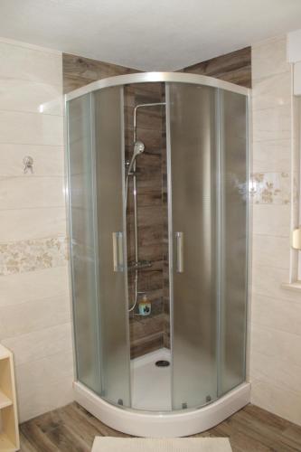 a shower with a glass door in a bathroom at Rooms Jurca in Postojna