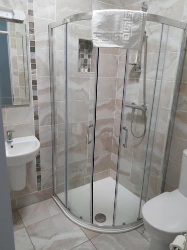 a bathroom with a shower with a toilet and a sink at Lynch's in Kilkee