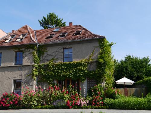 Zahrada ubytování Haus Vincent Stralsund Ferienwohnungen mit eigenen Parkplätzen