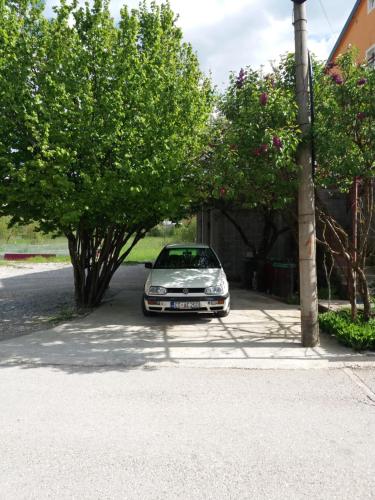 a car parked under a tree on a street at Apartments Mirković in Cetinje