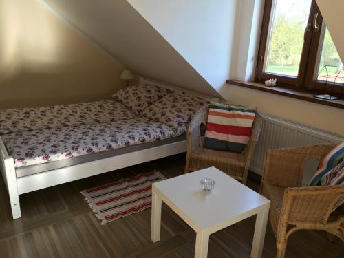 a small room with a bed and a table at Przytulisko na Mazurach in Ruciane-Nida