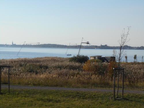 a view of a body of water with a boat at Ferienapartment-Monteurwohnung-Muldestausee in Pouch