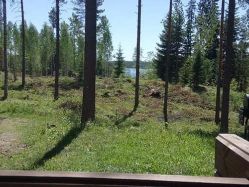a view of a forest with trees and green grass at Holiday Home Suvikumpu by Interhome in Tuusmäki