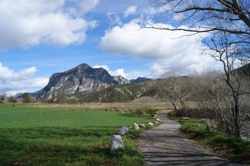 a path in a field with a mountain in the background at Cal Remolins in Coll de Nargó