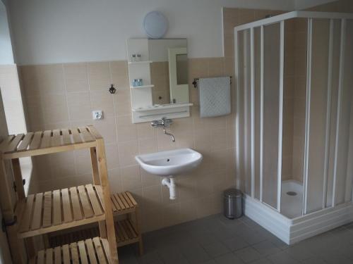 ein kleines Bad mit einem Waschbecken und einer Dusche in der Unterkunft Economy Apartments České Švýcarsko in Hřensko