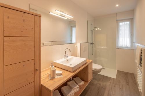 La salle de bains est pourvue d'un lavabo, de toilettes et d'une douche. dans l'établissement Apartments Sankt Walburg, à Anterselva di Mezzo