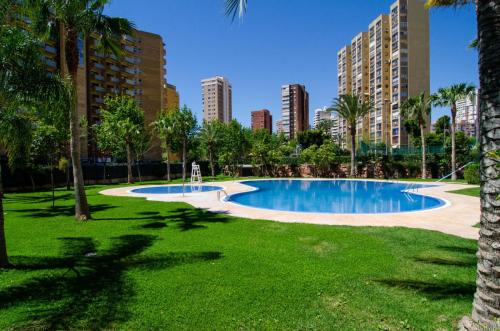 una piscina en un parque con palmeras y edificios en Apartamentos con terraza Torre D'Oboe by Renthas, en Benidorm
