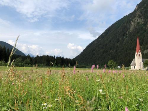 a field of flowers in front of a church at Apartments Sankt Walburg in Anterselva di Mezzo