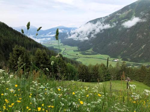 a field of flowers in a valley with mountains at Apartments Sankt Walburg in Anterselva di Mezzo