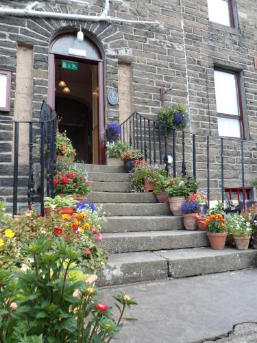 a group of potted plants on stairs in front of a building at Nethercliffe Hotel in Wick