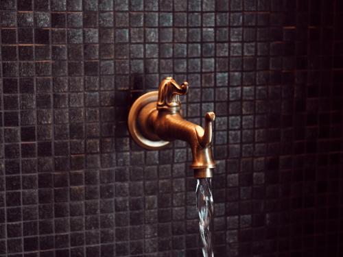 a bronze faucet with water coming out of it at Opera Hotel Zürich in Zurich