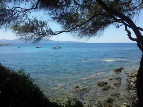 Φυσικό τοπίο κοντά σε αυτό το διαμέρισμα