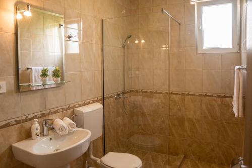 a bathroom with a shower and a toilet and a sink at Apartments Sunrise in Herceg-Novi