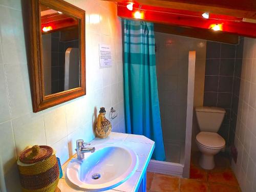ein Badezimmer mit einem Waschbecken, einem WC und einem Spiegel in der Unterkunft A ChiOsella in Corbara