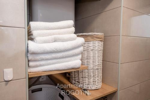 Ett badrum på Apartman Eva Rogotin