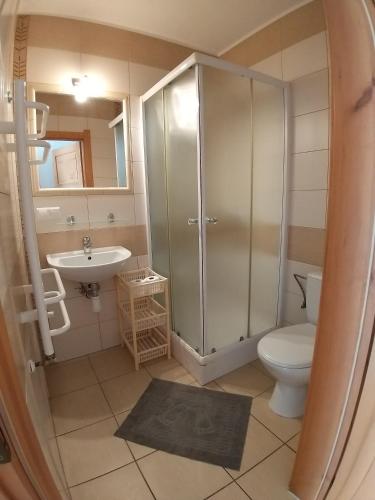 a bathroom with a shower and a toilet and a sink at Willa Nauta in Dębki