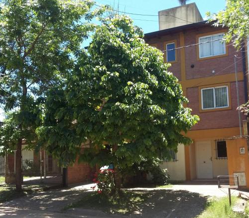 La Palmera escondida