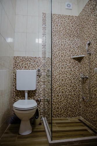 a bathroom with a toilet and a shower at Pansion Fočin Han in Sarajevo