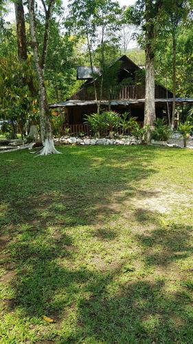 a house with a tree in the middle of a yard at Nawal in Lanquín