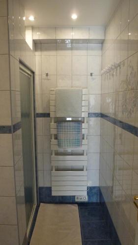 une salle de bain avec une douche avec une porte vitrée dans l'établissement Appartement du Lac, à Les Esterets du Lac