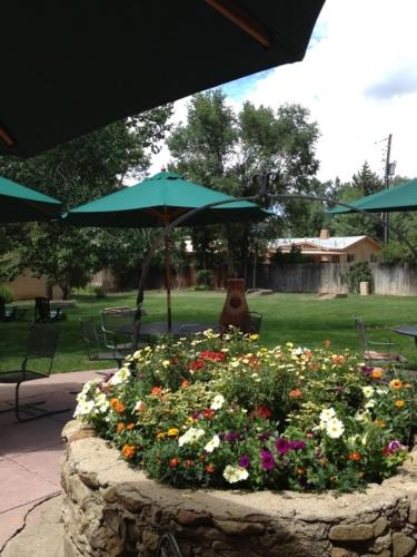 a garden with flowers and an umbrella in a yard at El Pueblo Lodge in Taos