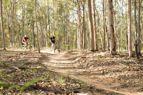 two people riding bikes on a dirt trail in the woods at Spicers Hidden Vale in Grandchester