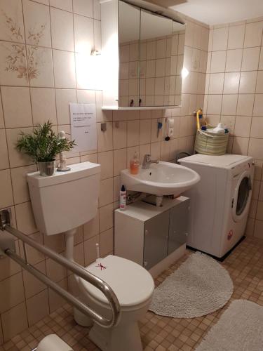 ein Badezimmer mit Toilette und Waschbecken in der Unterkunft Ferienwohnung Itzgrundruhe in Untermerzbach