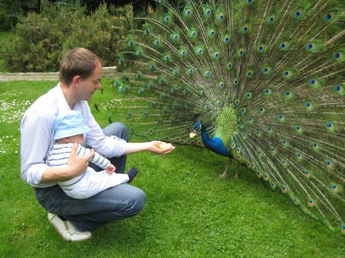 Hosté ubytování Harzer Feriengarten 4 Sterne