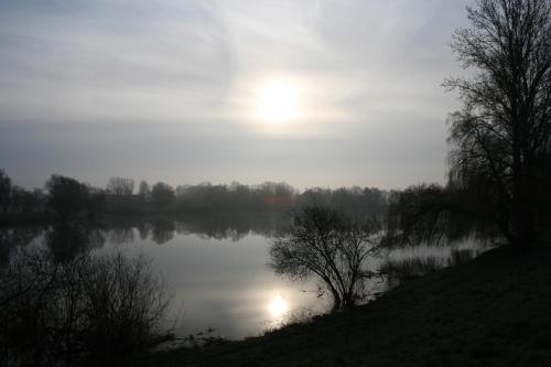 a misty lake with the sun reflecting in the water at Hotel Seeblick garni in Gartow