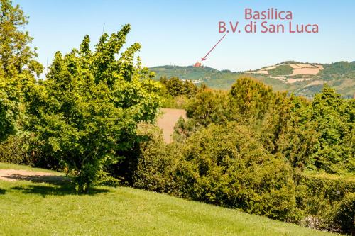 a view of a hill with trees in a field at BolognaRoomscom - Ca' Palazzo in Sasso Marconi