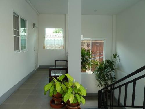 a hallway with potted plants and a door at Grandma Kaew House in Chiang Rai