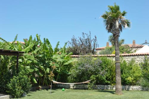 a palm tree and a hammock in a garden at Alacati Koclu Konagi Hotel in Alacati