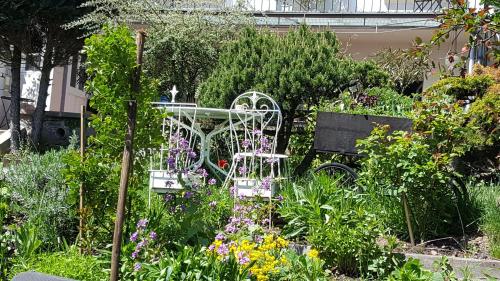 a garden with a white chair in the middle of flowers at Les Iris Chambres d’hôte in Niedermorschwihr