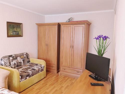 a living room with a couch and a television at Квартира -студія вул. Героїв Севастополя 46/17, поруч НАУ, клініка Шалімова, швидкістний трамвай, Ж/Д вокзал, аеропорт Жуляни in Kyiv