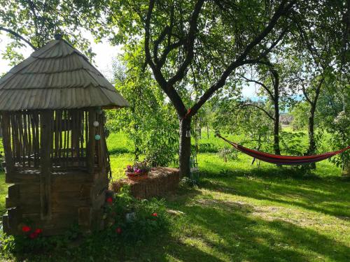 a hammock in a yard with a tree and a hammock at Complex Tradițional Casa din Vale Breb in Breb