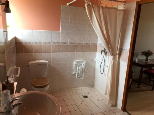 une salle de bain avec une douche avec des toilettes et un lavabo dans l'établissement Mountain Vacances - Maison Rachou, à Lanne-en-Barétous 