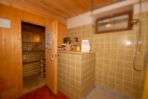 een badkamer met een inloopdouche en een inloopdouche bij Tonnerhof in Schladming