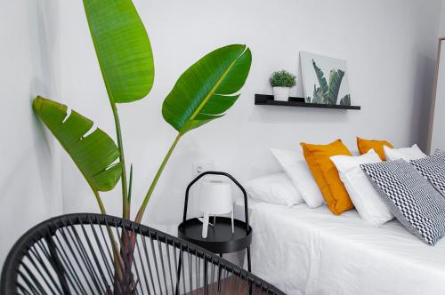 a living room with a bed and a plant at Edificio Bel in Benicarló