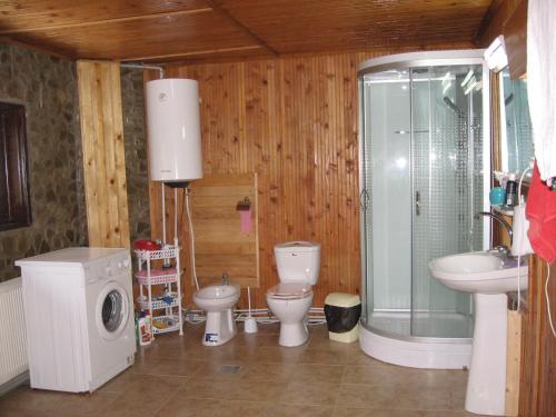 a bathroom with a toilet sink and a washing machine at pensiunea Gabriela in Durau