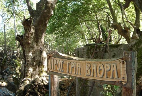 Φυσικό τοπίο κοντά σε αυτός ο ξενώνας