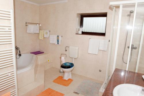 a bathroom with a toilet and a shower and a sink at Apartmani Kristanic in Karlovac