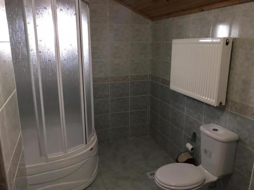 a bathroom with a white toilet and a shower at Villa Kartalkaya in Kındıra