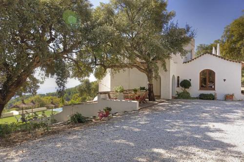 a white house with a tree and a driveway at Villa Bella Vista in Gaucín