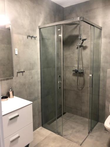 ポゴジェリツァにあるMorski z ogródkiemのバスルーム(ガラスドア付きのシャワー付)