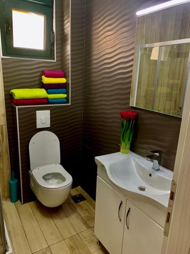 a bathroom with a white toilet and a sink at Absolute Apartman in Kotor