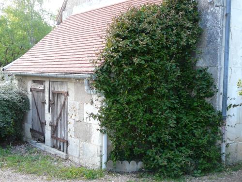 an ivy growing on the side of a building at A deux pas de Beauval in Saint-Aignan