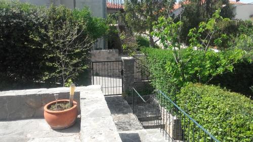 a plant in a pot next to a fence at Holiday home Pavarotti in Supetar