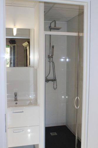 a white bathroom with a shower and a sink at Studio Rez de jardin Meaux-Disney in Meaux