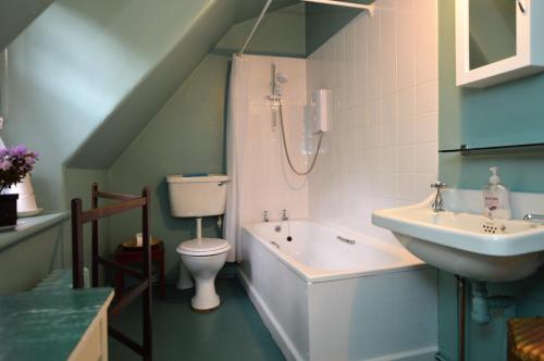 a bathroom with a sink and a toilet and a shower at Rhoda`s Cottage in Creggans