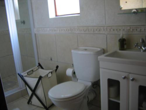 a bathroom with a white toilet and a sink at Malleson Garden Cottage in Cape Town
